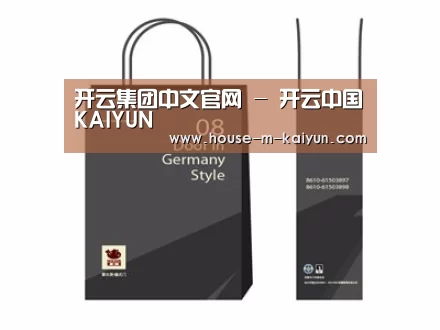 项目名称十四