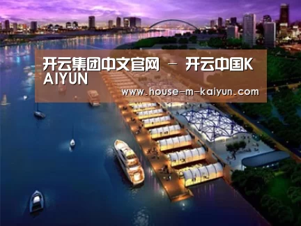 案例展示八