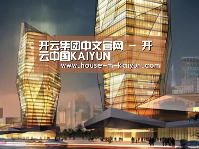 案例展示三