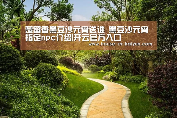 开云官网